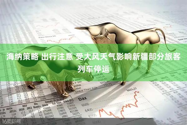 海纳策略 出行注意 受大风天气影响新疆部分旅客列车停运