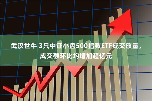 武汉世牛 3只中证小盘500指数ETF成交放量，成交额环比均增加超亿元