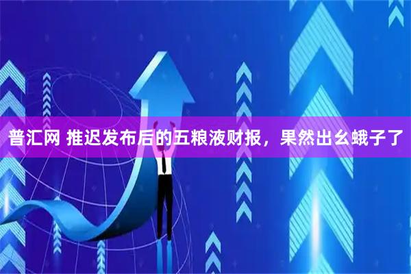 普汇网 推迟发布后的五粮液财报，果然出幺蛾子了
