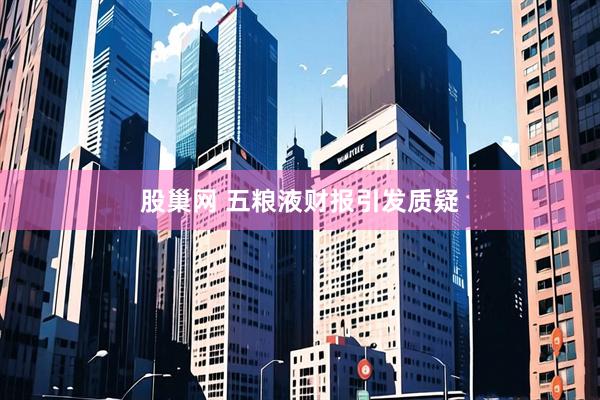 股巢网 五粮液财报引发质疑