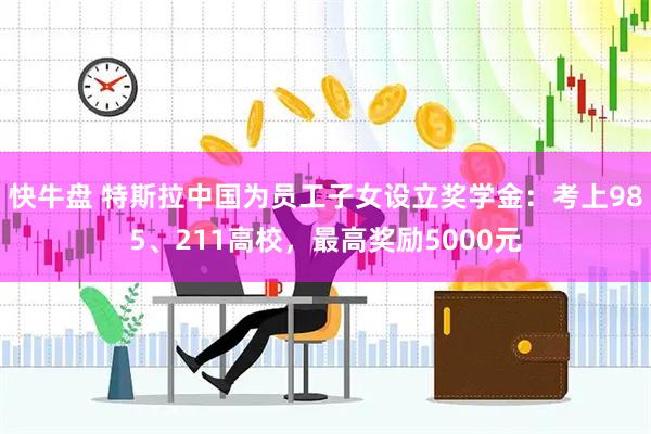 快牛盘 特斯拉中国为员工子女设立奖学金：考上985、211高校，最高奖励5000元