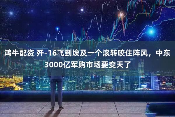 鸿牛配资 歼-16飞到埃及一个滚转咬住阵风，中东3000亿军购市场要变天了